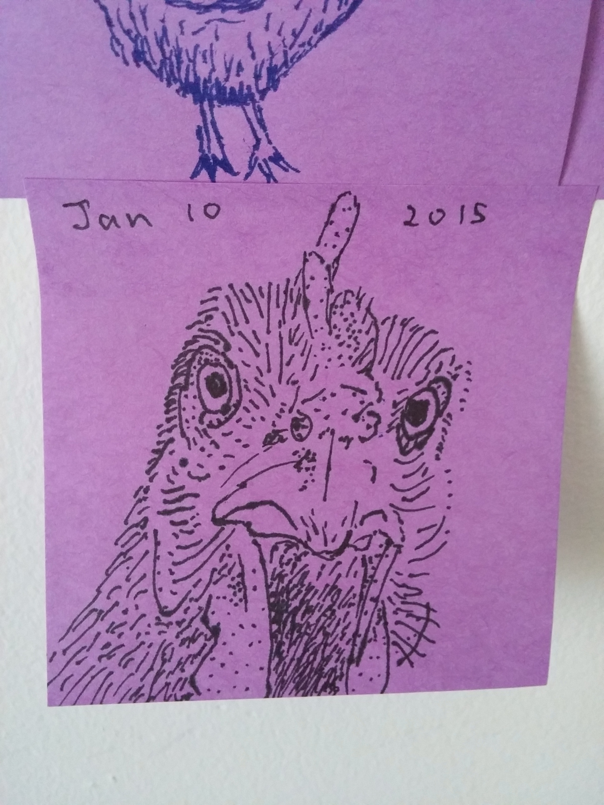 Post-It Chicken